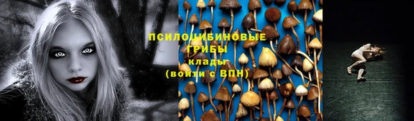 mix Абаза