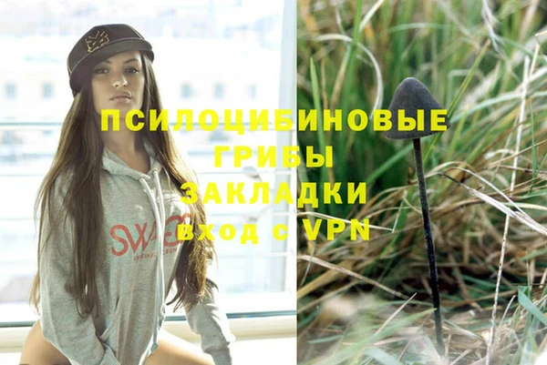 mix Абаза