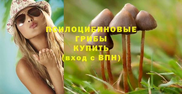 тгк Медвежьегорск