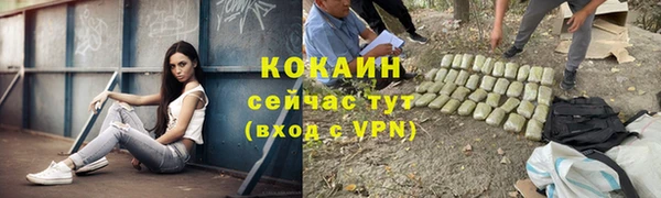 тгк Медвежьегорск