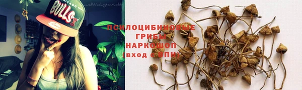 трава Абинск