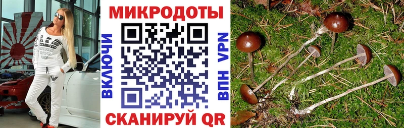 сколько стоит  Яранск  Псилоцибиновые грибы прущие грибы 